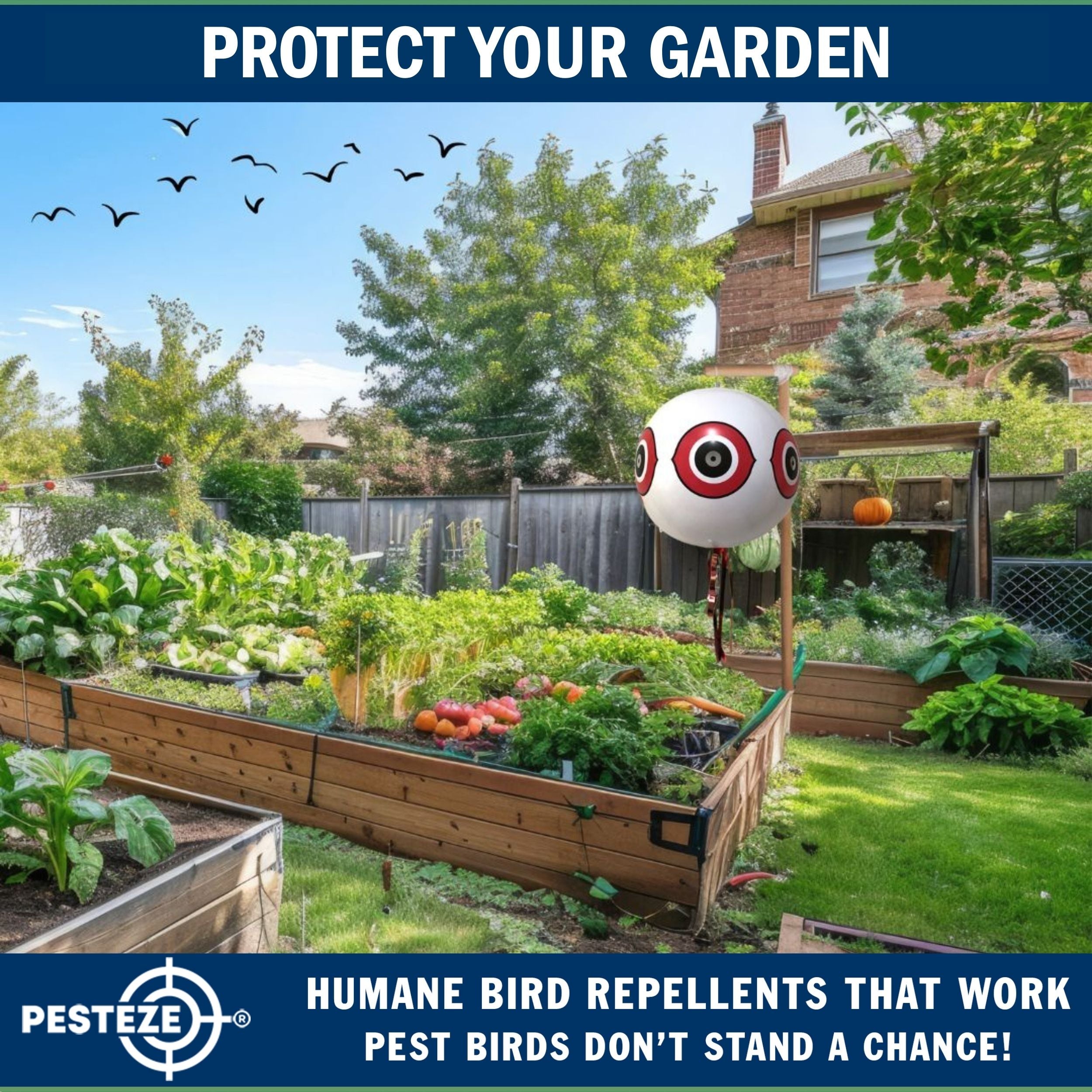 PESTEZE® USA Large 15" White Bird Predator-Eye Balloon Decoy [2 Pack White Color] Deters Unwanted Pest Birds like Pigeons, Gulls, Geese & Critters from Pools & Yards Without Harming Them To Protect Property