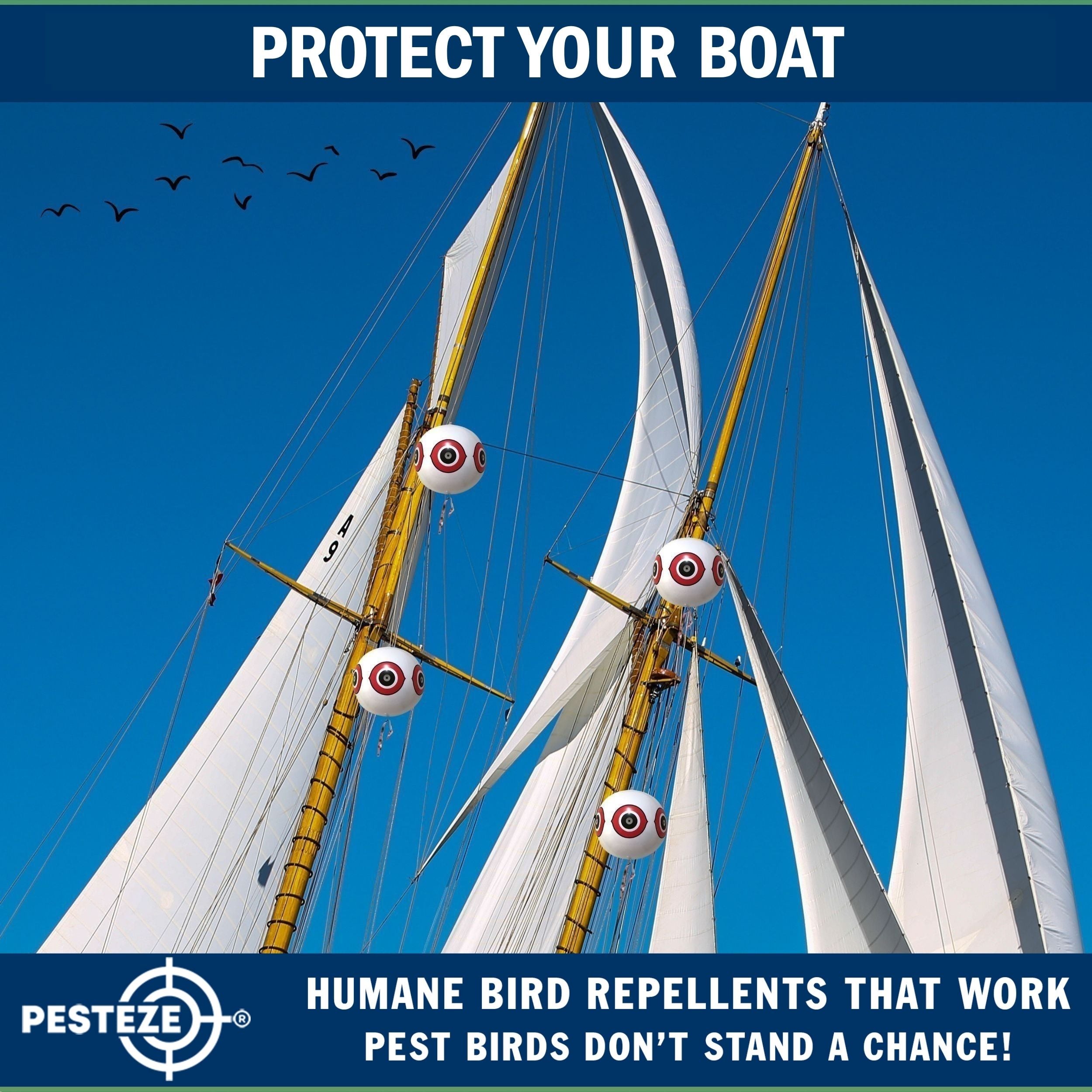 PESTEZE® USA Large 15" White Bird Predator-Eye Balloon Decoy [2 Pack White Color] Deters Unwanted Pest Birds like Pigeons, Gulls, Geese & Critters from Pools & Yards Without Harming Them To Protect Property