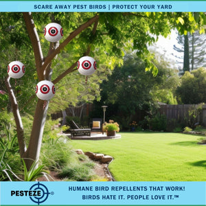 PESTEZE® Large 15" White Bird Scare-Eye Balloon Decoy [1 Pack] Deters Unwanted Pest Birds like Pigeons, Gulls, Geese & Critters from Pools & Yards Without Harming Them To Protect Property