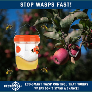 2 Pack PESTEZE® Reusable Solar Hanging Wasp Trap with LED Light [Orange: 3.5 X 4.4 Inch] Attracts, Catches & Kills Wasp, Hornet, Yellow Jacket & Insect Species 24/7 without Harsh Chemicals. Waterproof