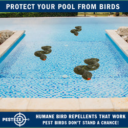 PESTEZE® Brown & Green 39 Inch Realistic Inflatable Snakes [2 Pack] Scares Pest Birds  like Woodpeckers, Sparrows, Pigeons, Crows, Gulls & Critters from Pools & Yards without Harming them to Protect Property