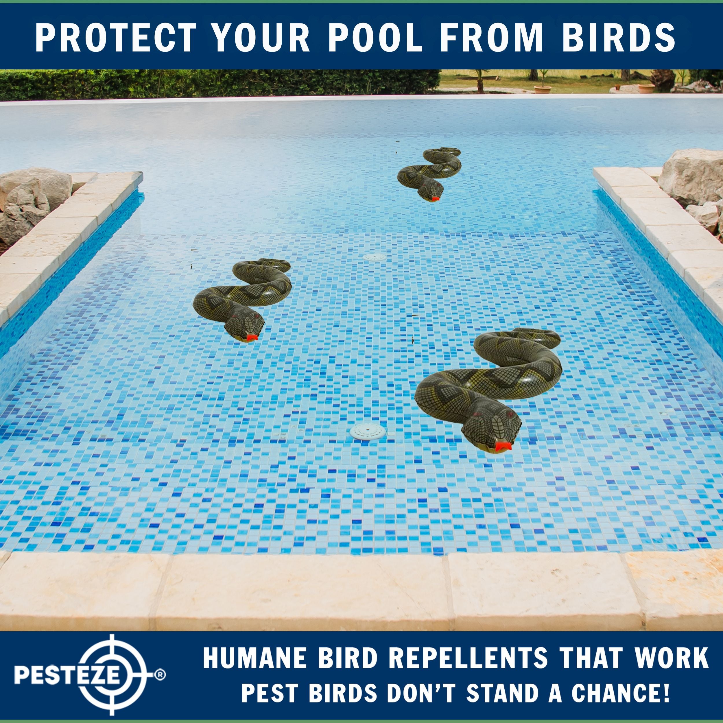 PESTEZE® Brown & Green 39 Inch Realistic Inflatable Snakes [2 Pack] Scares Pest Birds  like Woodpeckers, Sparrows, Pigeons, Crows, Gulls & Critters from Pools & Yards without Harming them to Protect Property