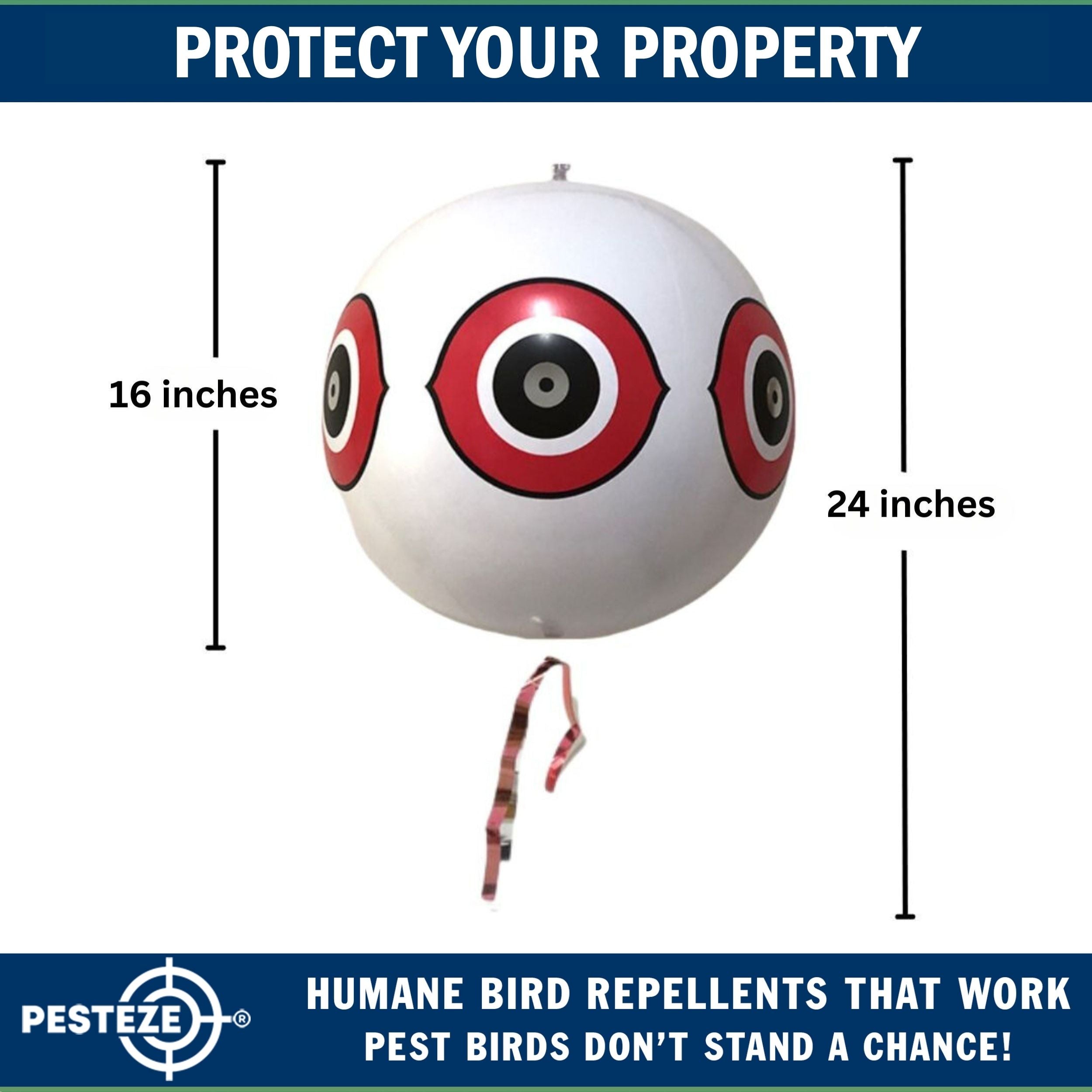 PESTEZE® Large 15" White Bird Predator-Eye Balloon Decoy [1 Pack] Deters Unwanted Pest Birds like Pigeons, Gulls, Geese & Critters from Pools & Yards Without Harming Them To Protect Property
