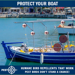 PESTEZE® USA Large 15" White Bird Predator-Eye Balloon Decoy [2 Pack White Color] Deters Unwanted Pest Birds like Pigeons, Gulls, Geese & Critters from Pools & Yards Without Harming Them To Protect Property