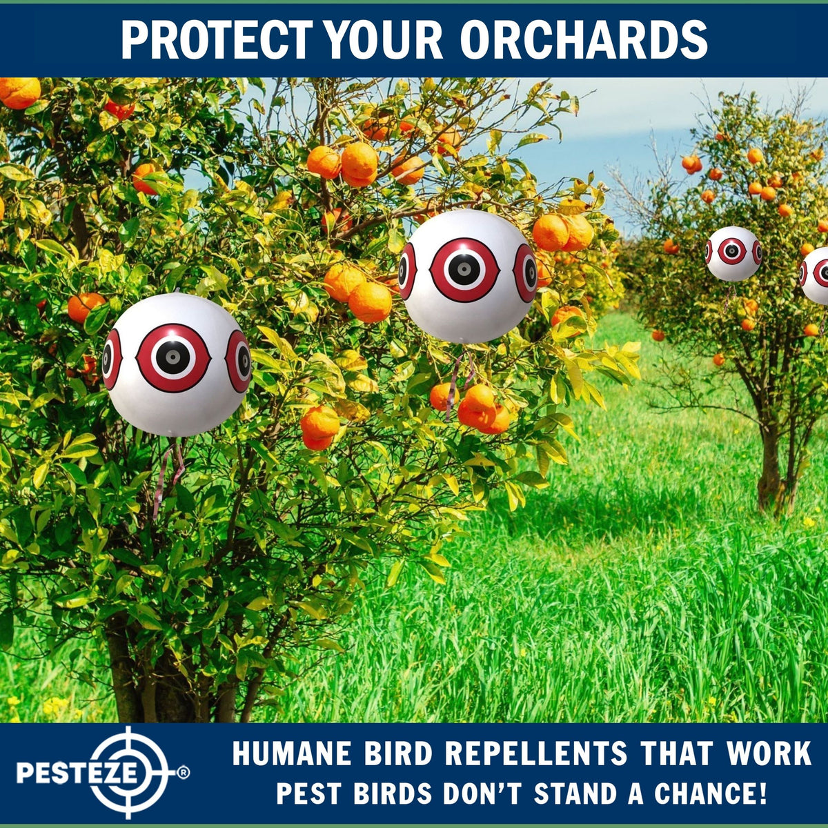 PESTEZE® USA Large 15" White Bird Predator-Eye Balloon Decoy [3 Pack White Color] Deters Unwanted Pest Birds like Pigeons, Gulls, Geese & Critters from Pools & Yards Without Harming Them To Protect Property
