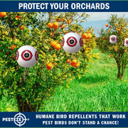 PESTEZE® USA Large 15" White Bird Predator-Eye Balloon Decoy [3 Pack White Color] Deters Unwanted Pest Birds like Pigeons, Gulls, Geese & Critters from Pools & Yards Without Harming Them To Protect Property