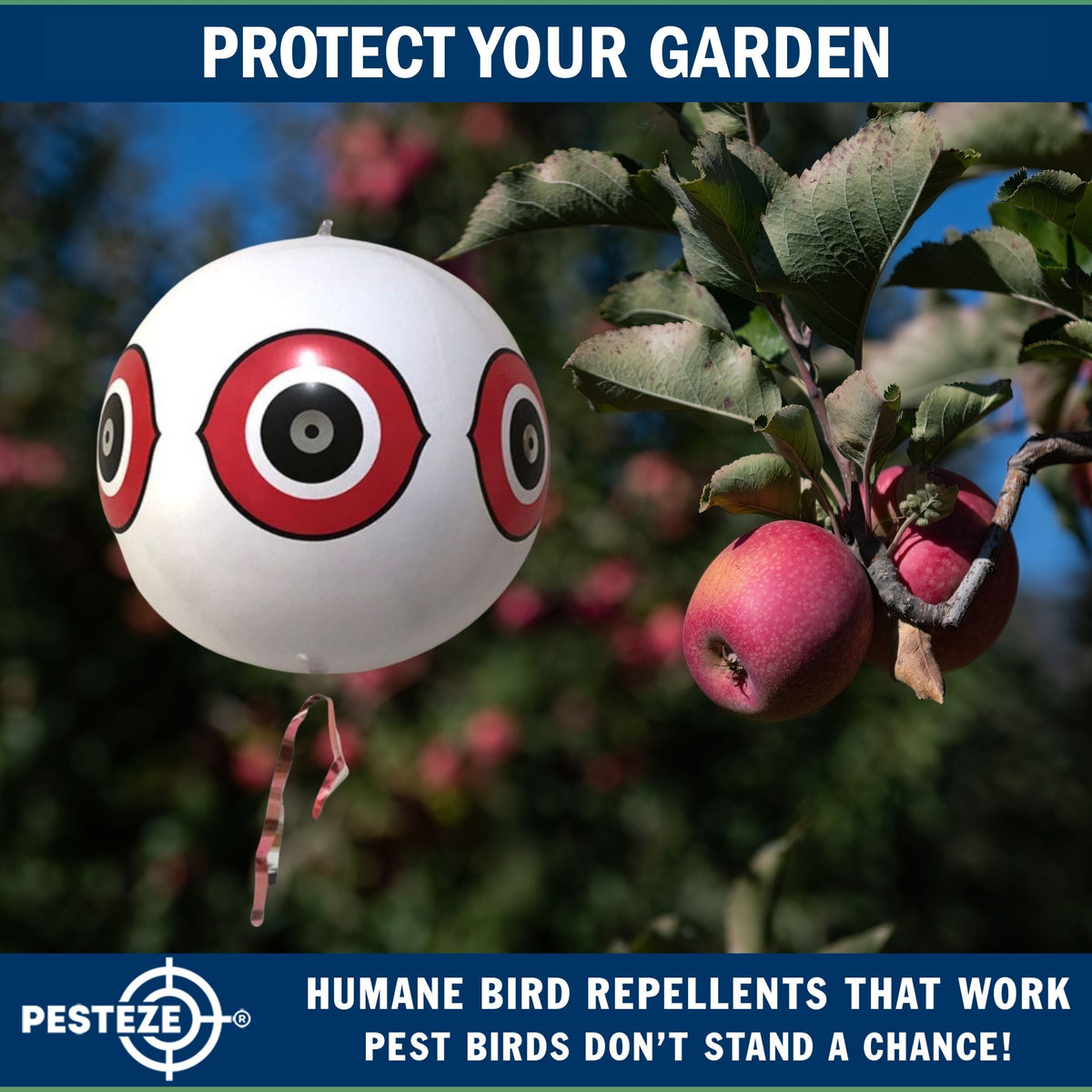 PESTEZE® USA Large 15" White Bird Predator-Eye Balloon Decoy [2 Pack White Color] Deters Unwanted Pest Birds like Pigeons, Gulls, Geese & Critters from Pools & Yards Without Harming Them To Protect Property