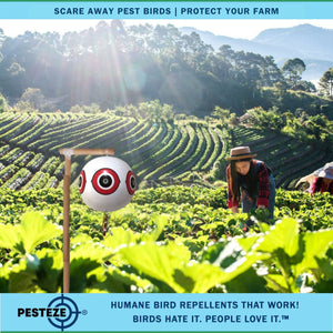 PESTEZE® Large 15" White Bird Scare-Eye Balloon Decoy [1 Pack] Deters Unwanted Pest Birds like Pigeons, Gulls, Geese & Critters from Pools & Yards Without Harming Them To Protect Property