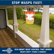 PESTEZE® USA Reusable Solar Hanging Wasp Trap with LED Light [Orange: 3.5 x 4.4 Inch] Attracts, & Kills Wasp, Hornet, Yellow Jacket & Insect Species 24/7 Without Harsh Chemicals Waterproof Outdoor Trap