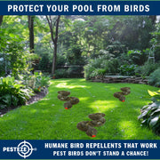 PESTEZE® USA Snake Decoy 2-Pack – Realistic 39" Inflatable Snake in Grey & Green Help Deter Birds, Squirrels & Outdoor Pests from Pool, Garden, Lawns & Yards; Lightweight Fake Reptile for Safe Property