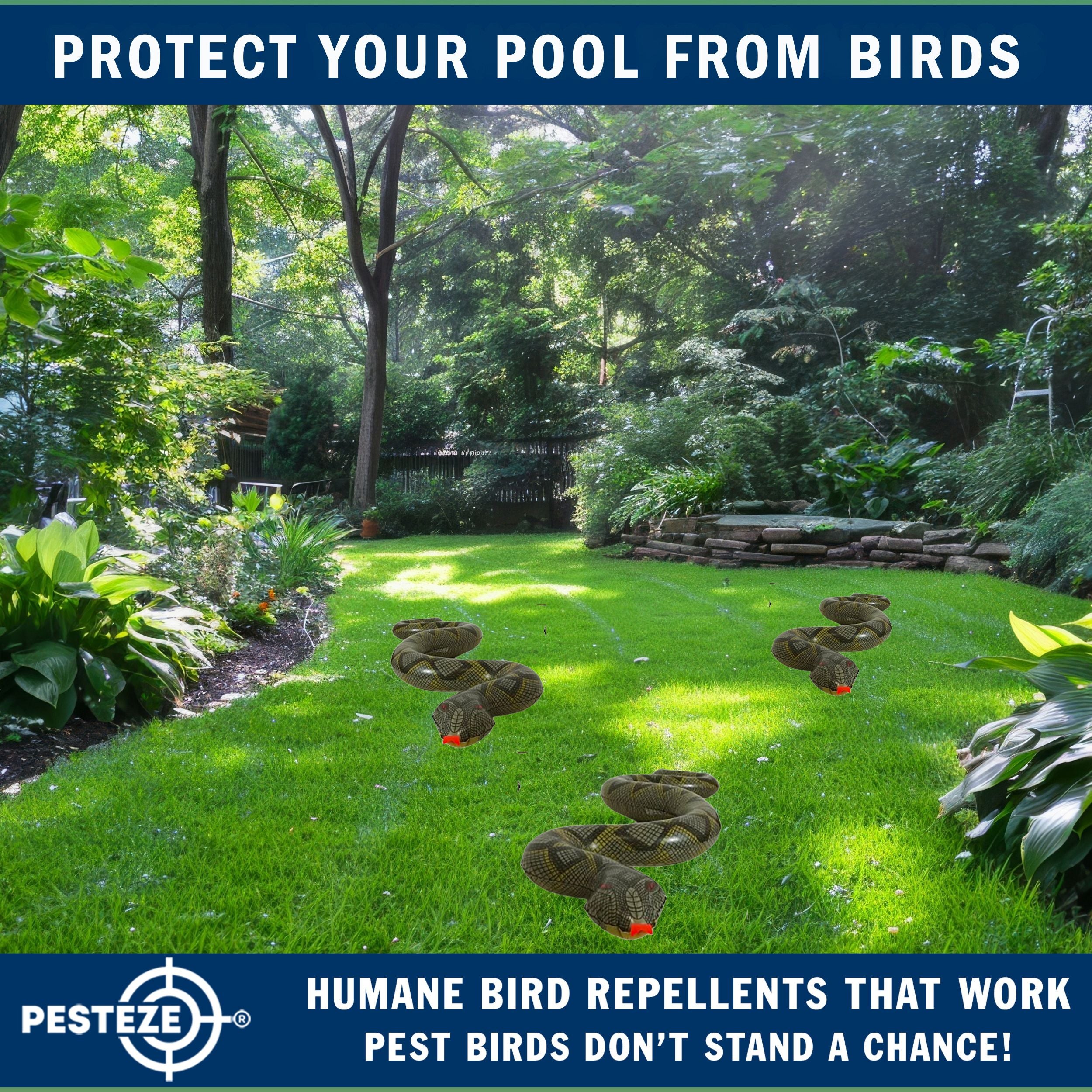 PESTEZE® Brown & Green 39 Inch Realistic Inflatable Snakes [2 Pack] Scares Pest Birds  like Woodpeckers, Sparrows, Pigeons, Crows, Gulls & Critters from Pools & Yards without Harming them to Protect Property
