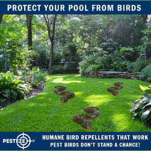 PESTEZE® Green 39 Inch Realistic Inflatable Snakes [3 Pack] Deters Pest Birds like Woodpeckers, Sparrows, Pigeons, Crows, Gulls & Critters from Pools & Yards without Harming them to Protect Property