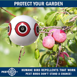 PESTEZE® Large 15" White Bird Predator-Eye Balloon Decoy [1 Pack] Deters Unwanted Pest Birds like Pigeons, Gulls, Geese & Critters from Pools & Yards Without Harming Them To Protect Property