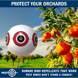 PESTEZE® USA Large 15" White Bird Predator-Eye Balloon Decoy [2 Pack White Color] Deters Unwanted Pest Birds like Pigeons, Gulls, Geese & Critters from Pools & Yards Without Harming Them To Protect Property