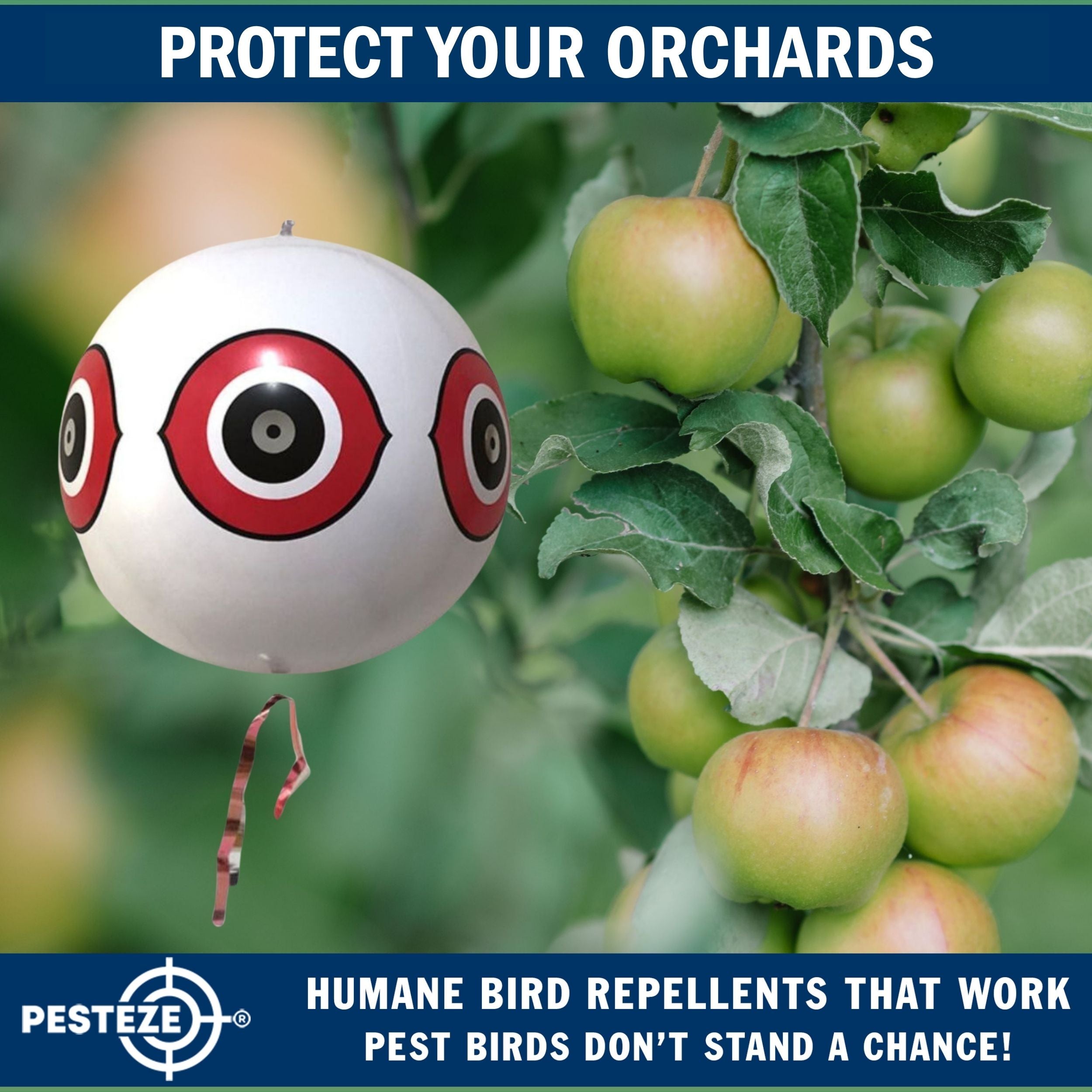 PESTEZE® Large 15" White Bird Predator-Eye Balloon Decoy [1 Pack] Deters Unwanted Pest Birds like Pigeons, Gulls, Geese & Critters from Pools & Yards Without Harming Them To Protect Property