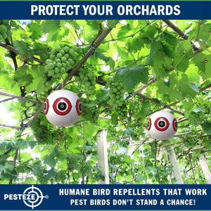 PESTEZE® Large 15" White Bird Scare-Eye Balloon Decoy [1 Pack] Deters Unwanted Pest Birds like Pigeons, Gulls, Geese & Critters from Pools & Yards Without Harming Them To Protect Property
