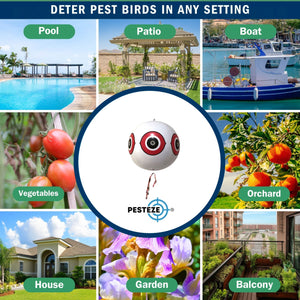 PESTEZE® Large 15" White Bird Scare-Eye Balloon Decoy [1 Pack] Deters Unwanted Pest Birds like Pigeons, Gulls, Geese & Critters from Pools & Yards Without Harming Them To Protect Property
