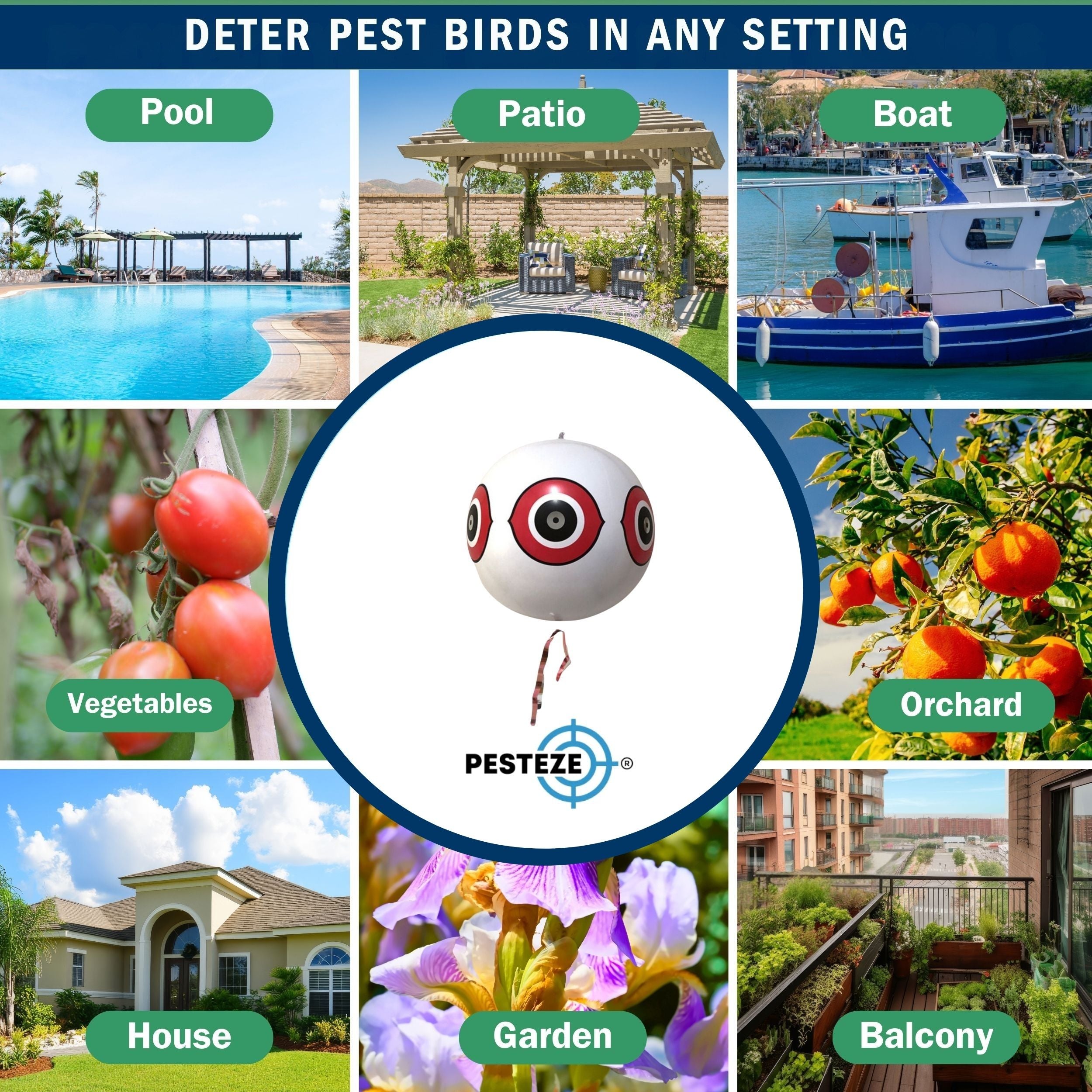 PESTEZE® USA Large 15" White Bird Predator-Eye Balloon Decoy [2 Pack White Color] Deters Unwanted Pest Birds like Pigeons, Gulls, Geese & Critters from Pools & Yards Without Harming Them To Protect Property