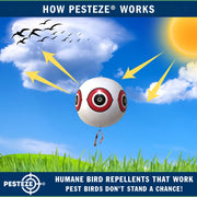 PESTEZE® USA Large 15" White Bird Predator-Eye Balloon Decoy [3 Pack White Color] Deters Unwanted Pest Birds like Pigeons, Gulls, Geese & Critters from Pools & Yards Without Harming Them To Protect Property