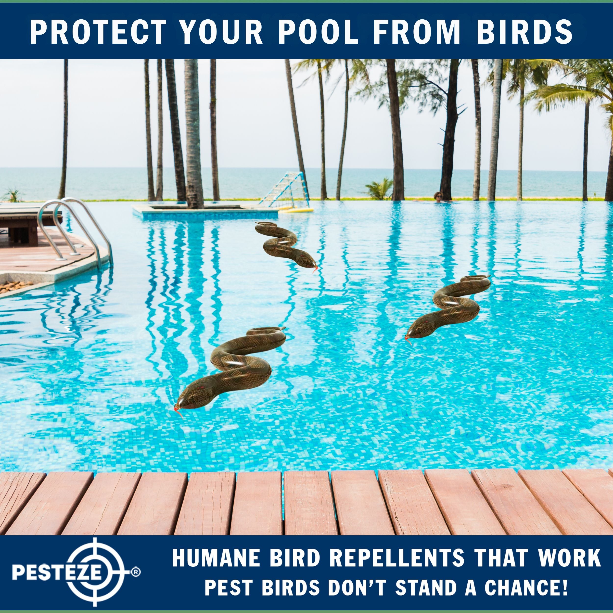 PESTEZE® Brown 39 Inch Realistic Inflatable Snakes [3 Pack] Repels Pest Birds like Woodpeckers, Sparrows, Pigeons, Crows, Gulls & Critters from Pools & Yards without Harming them to Protect Property