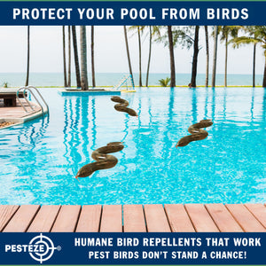 PESTEZE® Brown 39 Inch Realistic Inflatable Snakes [3 Pack] Repels Pest Birds like Woodpeckers, Sparrows, Pigeons, Crows, Gulls & Critters from Pools & Yards without Harming them to Protect Property
