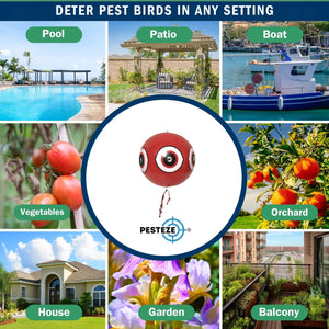 PESTEZE® Large 15" Red Bird Terror-Eye Balloon Deterrent [1 Pack] Scares Unwanted Pest Birds like Pigeons, Gulls, Geese & Critters from Pools & Yards without Harming them to Protect Property