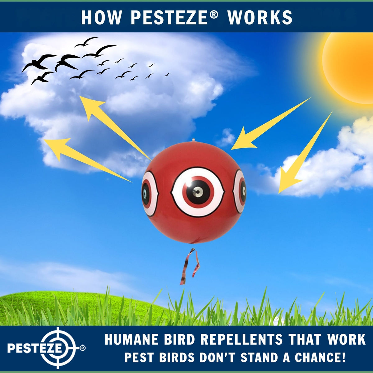 PESTEZE® USA Large 15" Red Bird Predator Balloon Decoy 1 Pack | Inflatable Bird Deterrent for Pools, Docks, Patios & Gardens; Humane Predator–Eye Balloon Keeps Away Pigeons, Woodpeckers, Ducks & Geese