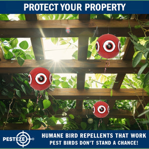 PESTEZE® Large 15" Red Bird Terror-Eye Balloon Deterrent [1 Pack] Scares Unwanted Pest Birds like Pigeons, Gulls, Geese & Critters from Pools & Yards without Harming them to Protect Property
