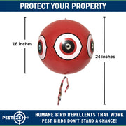 PESTEZE® USA Large 15" Red Bird Predator Balloon Decoy 1 Pack | Inflatable Bird Deterrent for Pools, Docks, Patios & Gardens; Humane Predator–Eye Balloon Keeps Away Pigeons, Woodpeckers, Ducks & Geese