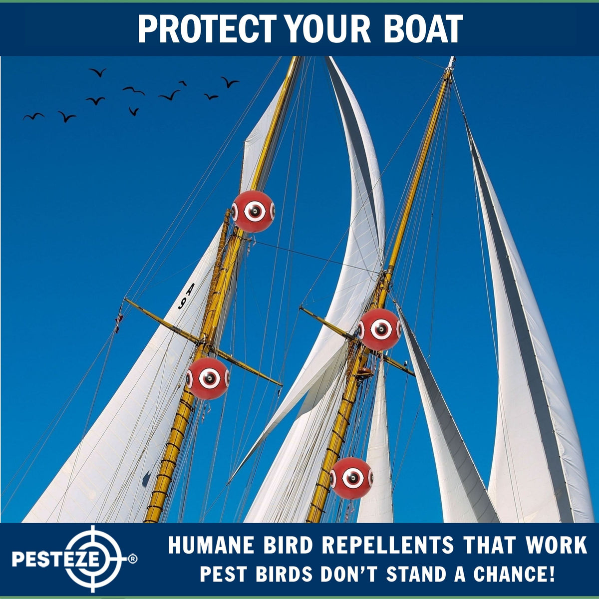 PESTEZE® USA Large 15" Red Bird Predator Balloon Decoy 1 Pack | Inflatable Bird Deterrent for Pools, Docks, Patios & Gardens; Humane Predator–Eye Balloon Keeps Away Pigeons, Woodpeckers, Ducks & Geese