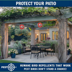 PESTEZE® Large 15" Red Bird Terror-Eye Balloon Deterrent [1 Pack] Scares Unwanted Pest Birds like Pigeons, Gulls, Geese & Critters from Pools & Yards without Harming them to Protect Property
