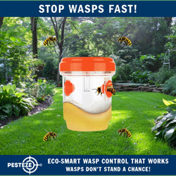 2 Pack PESTEZE® Reusable Solar Hanging Wasp Trap with LED Light [Orange: 3.5 X 4.4 Inch] Attracts, Catches & Kills Wasp, Hornet, Yellow Jacket & Insect Species 24/7 without Harsh Chemicals. Waterproof
