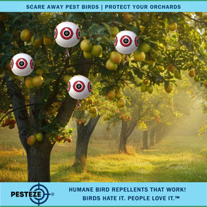 PESTEZE® Large 15" White Bird Scare-Eye Balloon Decoy [1 Pack] Deters Unwanted Pest Birds like Pigeons, Gulls, Geese & Critters from Pools & Yards Without Harming Them To Protect Property