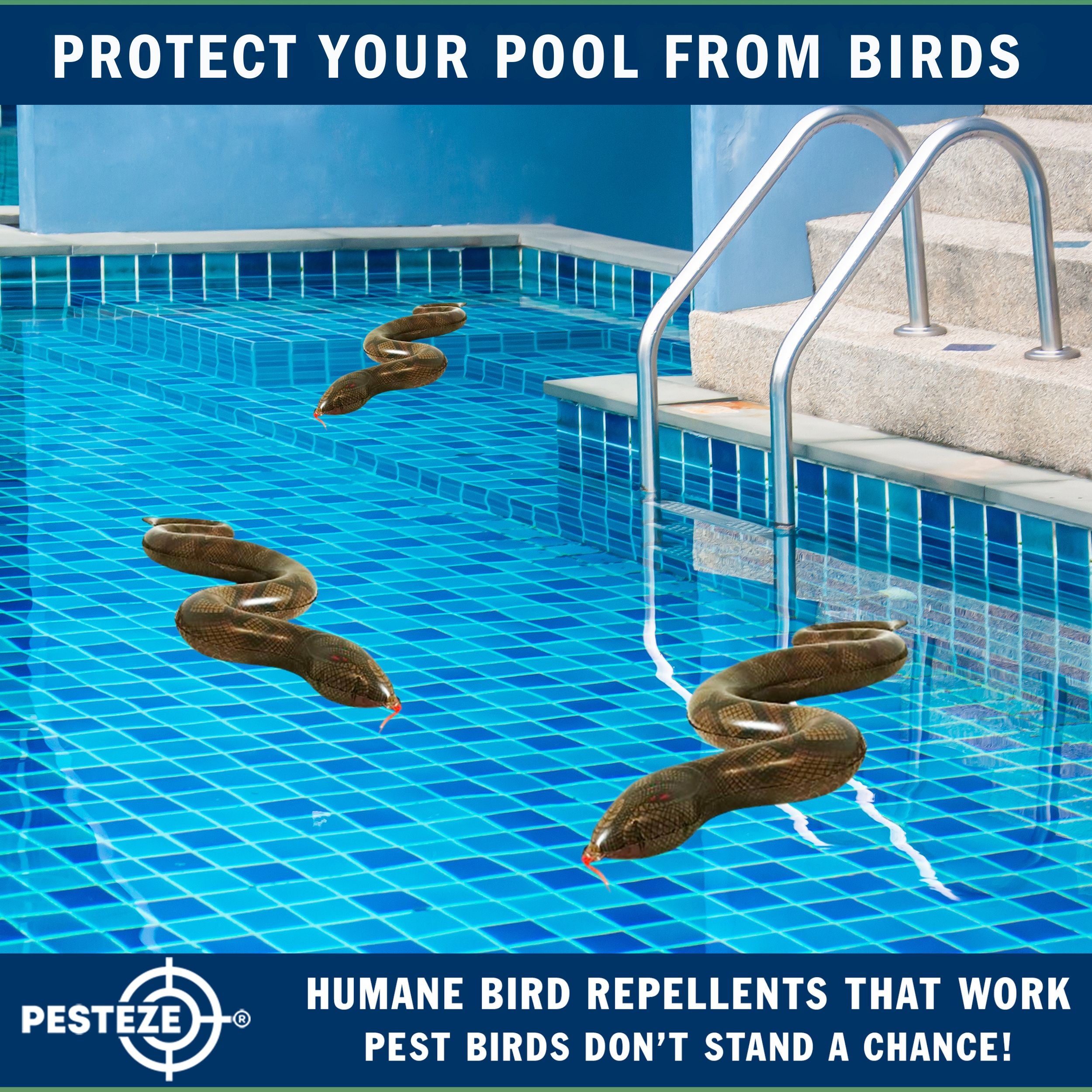 PESTEZE® Brown 39 Inch Realistic Inflatable Snakes [3 Pack] Repels Pest Birds like Woodpeckers, Sparrows, Pigeons, Crows, Gulls & Critters from Pools & Yards without Harming them to Protect Property