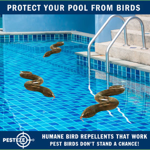 PESTEZE® Brown 39 Inch Realistic Inflatable Snakes [3 Pack] Repels Pest Birds like Woodpeckers, Sparrows, Pigeons, Crows, Gulls & Critters from Pools & Yards without Harming them to Protect Property