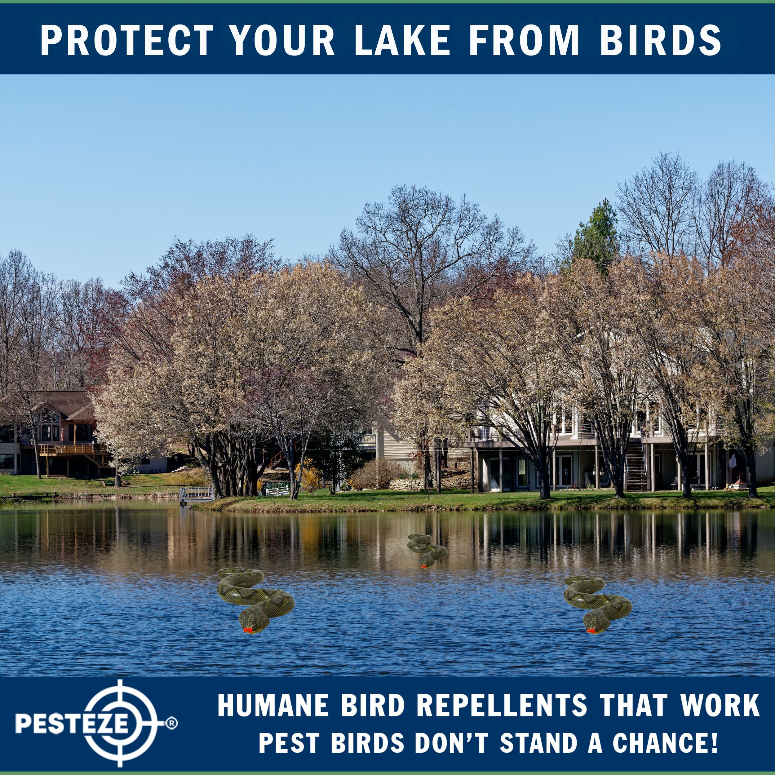 PESTEZE® Brown & Green 39 Inch Realistic Inflatable Snakes [2 Pack] Scares Pest Birds  like Woodpeckers, Sparrows, Pigeons, Crows, Gulls & Critters from Pools & Yards without Harming them to Protect Property