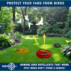 PESTEZE® Variety 27 Inch Realistic Rubber Snakes [5 Pack] Scares Pest Bids like Woodpeckers, Sparrows, Pigeons, Crows, Gulls & Critters without Harming them to Protect Property