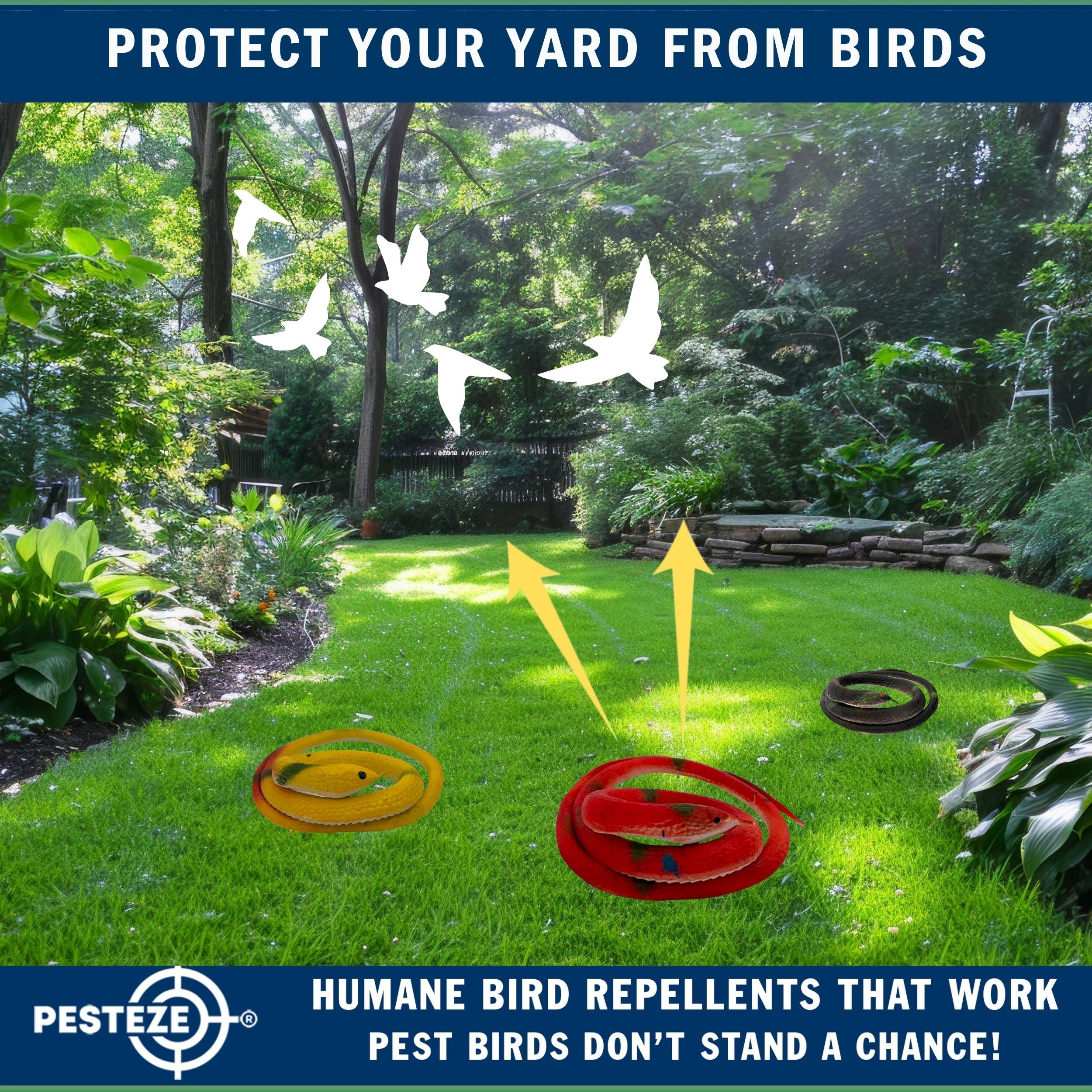 PESTEZE® Variety 27 Inch Realistic Rubber Snakes [5 Pack] Scares Pest Bids like Woodpeckers, Sparrows, Pigeons, Crows, Gulls & Critters without Harming them to Protect Property