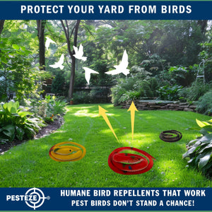 PESTEZE® Variety 27 Inch Realistic Rubber Snakes [5 Pack] Scares Pest Bids like Woodpeckers, Sparrows, Pigeons, Crows, Gulls & Critters without Harming them to Protect Property