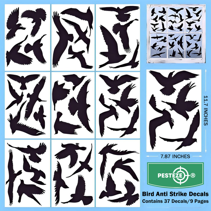 PESTEZE® Black Hummingbirds Anti Strike Static Cling Decals for Windows to Prevent Wild Bird Collisions [37 Decals/9 Pages] Bird Alert Window Decals Save Birds from Window Strikes & Help them Soar