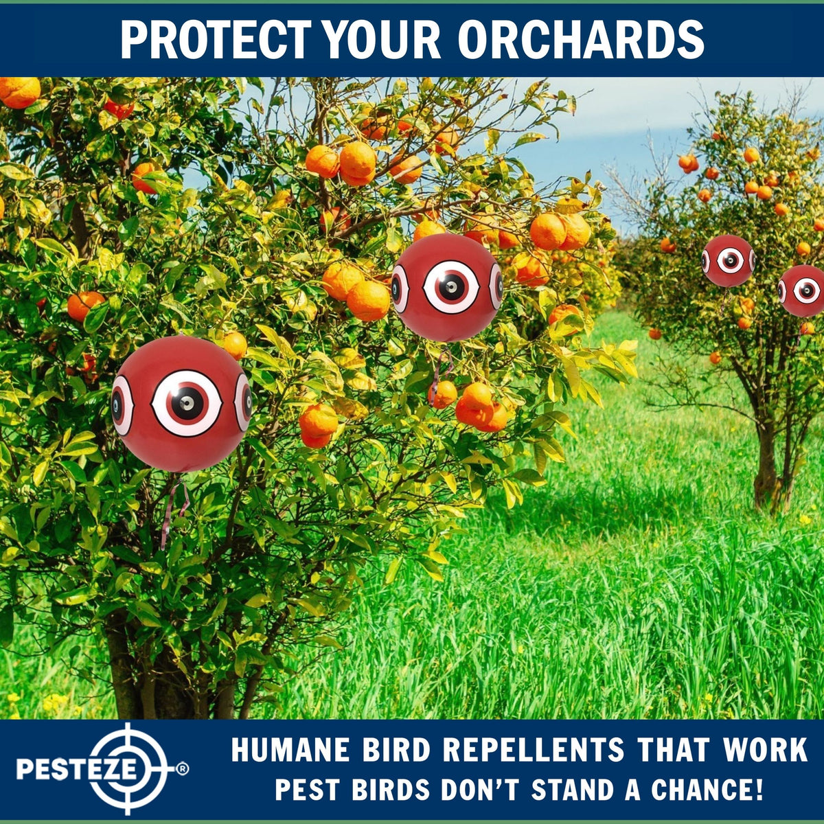 PESTEZE® USA Large 15" Red Bird Predator Balloon Decoy 1 Pack | Inflatable Bird Deterrent for Pools, Docks, Patios & Gardens; Humane Predator–Eye Balloon Keeps Away Pigeons, Woodpeckers, Ducks & Geese