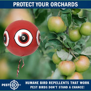 PESTEZE® USA Large 15" Red Bird Predator Balloon Decoy 1 Pack | Inflatable Bird Deterrent for Pools, Docks, Patios & Gardens; Humane Predator–Eye Balloon Keeps Away Pigeons, Woodpeckers, Ducks & Geese