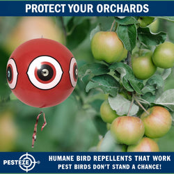 PESTEZE® USA Large 15" Red Bird Predator-Eye Balloon Deterrent [2 Pack Red Color] Predators Unwanted Pest Birds like Pigeons, Gulls, Geese & Critters from Pools & Yards without Harming them to Protect