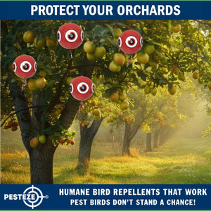 PESTEZE® Large 15" Red Bird Terror-Eye Balloon Deterrent [1 Pack] Scares Unwanted Pest Birds like Pigeons, Gulls, Geese & Critters from Pools & Yards without Harming them to Protect Property