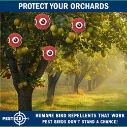PESTEZE® USA Large 15" Red Bird Predator-Eye Balloon Deterrent [2 Pack Red Color] Predators Unwanted Pest Birds like Pigeons, Gulls, Geese & Critters from Pools & Yards without Harming them to Protect