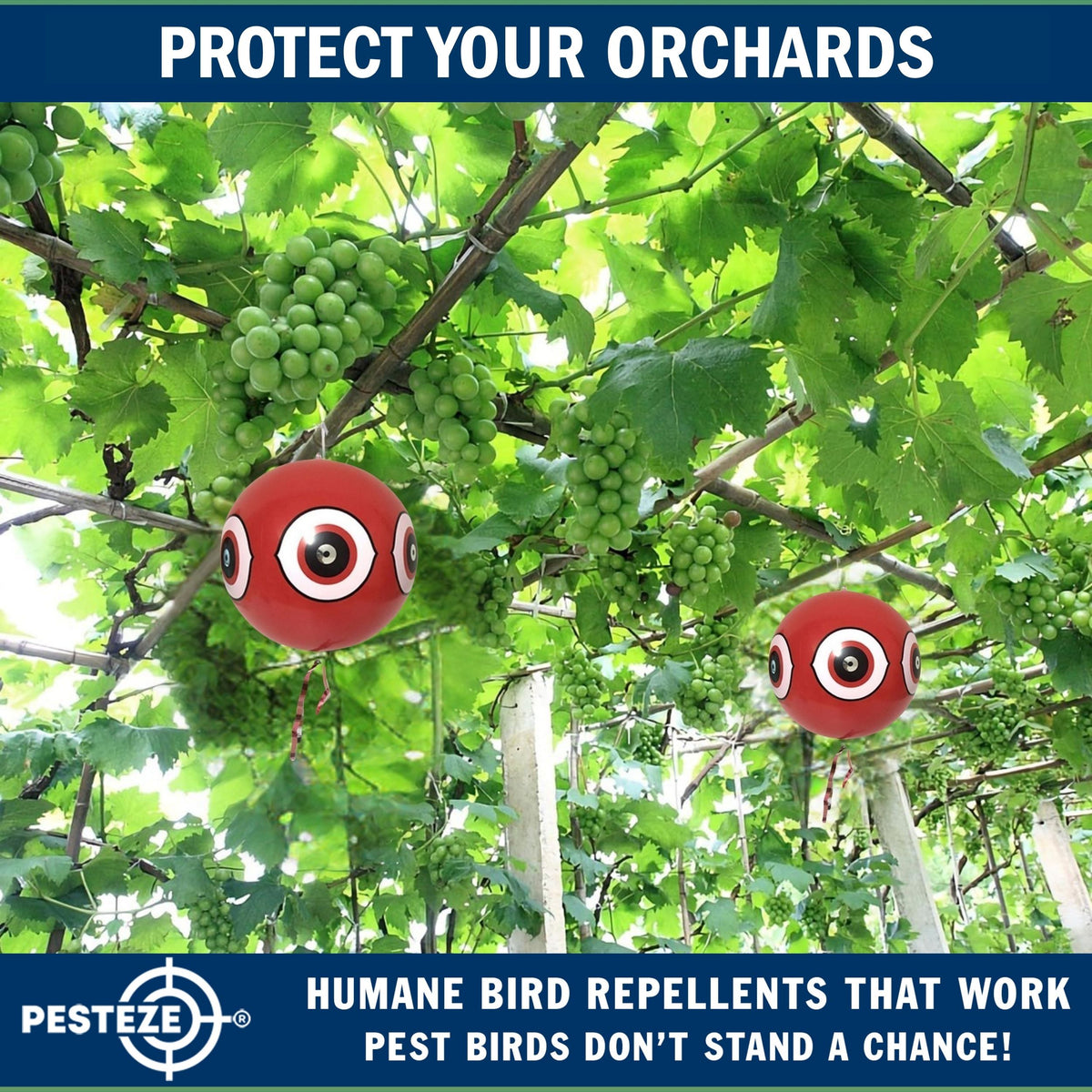 PESTEZE® USA Large 15" Red Bird Predator Balloon Decoy 1 Pack | Inflatable Bird Deterrent for Pools, Docks, Patios & Gardens; Humane Predator–Eye Balloon Keeps Away Pigeons, Woodpeckers, Ducks & Geese