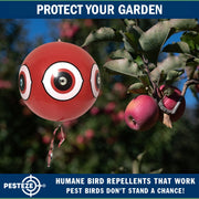 PESTEZE® USA Large 15" Red Bird Predator Balloon Decoy 1 Pack | Inflatable Bird Deterrent for Pools, Docks, Patios & Gardens; Humane Predator–Eye Balloon Keeps Away Pigeons, Woodpeckers, Ducks & Geese