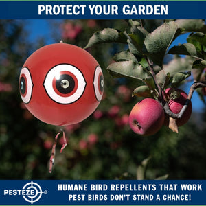 PESTEZE® Large 15" Red Bird Terror-Eye Balloon Deterrent [1 Pack] Scares Unwanted Pest Birds like Pigeons, Gulls, Geese & Critters from Pools & Yards without Harming them to Protect Property