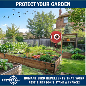 PESTEZE® Large 15" Red Bird Terror-Eye Balloon Deterrent [1 Pack] Scares Unwanted Pest Birds like Pigeons, Gulls, Geese & Critters from Pools & Yards without Harming them to Protect Property