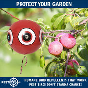 PESTEZE® USA Large 15" Red Bird Predator Balloon Decoy 1 Pack | Inflatable Bird Deterrent for Pools, Docks, Patios & Gardens; Humane Predator–Eye Balloon Keeps Away Pigeons, Woodpeckers, Ducks & Geese